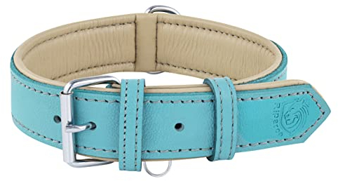 Riparo Echtes Leder Verstellbares Hundehalsband mit Zusätzlicher Verstärkung (XL: 4,5CM Breit für 53,4CM - 63,5CM Hals, Aqua)