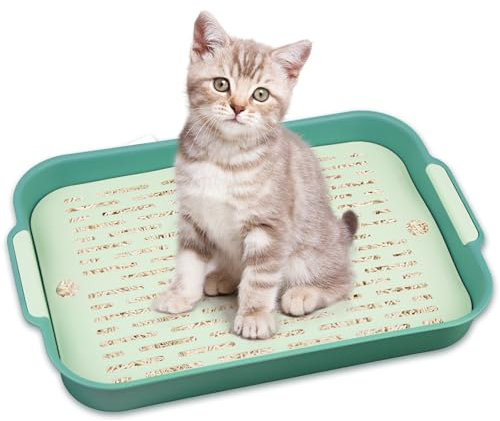 Bac à litière pour lapin, bac à litière pour lapin, grand coin de toilette pour petits animaux, lapins, cochons d'Inde (vert/grand)
