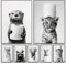 BeiYiHo Bilder Badezimmer Tiere Schwarz Weiß Poster Lustige Tiere Bild Toilette Tier Tiger 30x40 Wandbild WC Deko Kunstdruck Bad Leinwand Modern