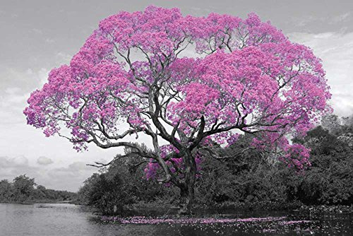 empireposter Tree - Poster - Blossom