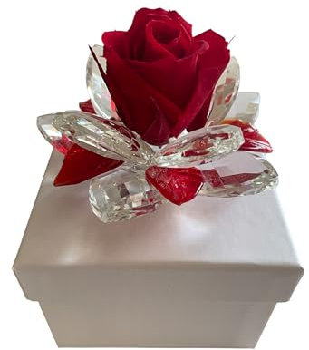 Noah idee & design Rosa Rossa Stabilizzata con Base in Cristallo, Decorazione Floreale in Scatola Regalo, Bomboniera Elegante