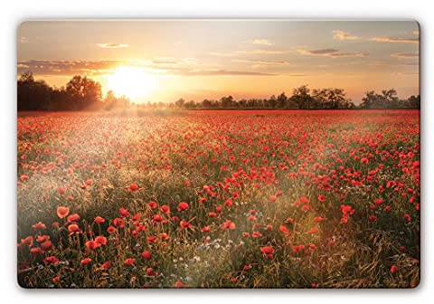 K&L Wall Art Sonnenuntergang Glasbild Mohnfeld Wanddeko rot modernes Wandbild Mohnblumen Bilder auf Glas 60x40cm