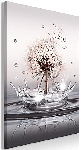 murando - Wandbilder XXL Pusteblume 20x30 cm 1 tlg - Vlies Leinwandbild Kunstdruck modern Wandbilder XXL Wanddeko Wohnzimmer Schlafzimmer Wand Bild - Natur Wassertropfen Blumen Löwenzahn b-C-0732-b-a
