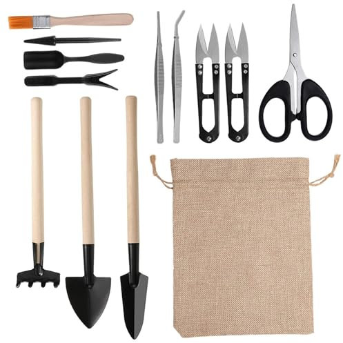 Banziaju Kit de árbol bonsái, Kit de bonsái, 13 Piezas/Juego, Mini Kit de Herramientas suculentas de Mano, Herramientas Profesionales de bonsái, trasplante, Recorte, Herramientas de jardinería
