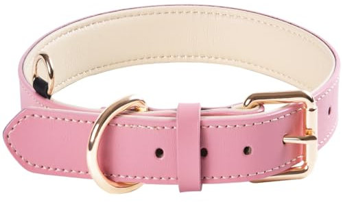 Collier pour Chien en Cuir Rose, Confortable et Rembourré, pour Les Petites, Moyennes et Grandes Races (M)