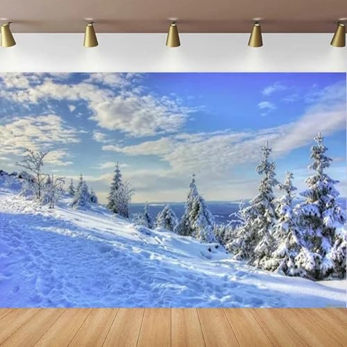Weihnachtsfotografie-Hintergrund für Winterszene, Banner, Poster, Winterlandschaft, EIS und Schnee, Weltthema 200x140CM