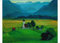 Kunstkarte Gabriele Münter Ramsachkirchlein