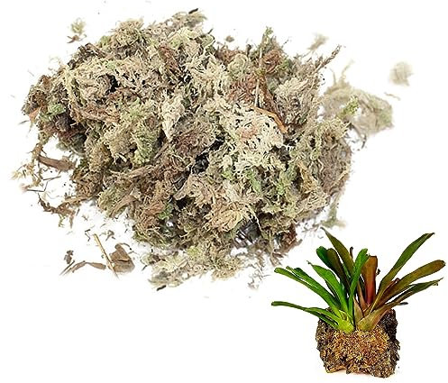 Sphagnum-Moos, getrocknetes Spagnum-Trockenmoos für Reptilien, Einstreu und Terrarium, Heimtierbedarf, 150 g. Sphagnum-Moos, getrocknetes Moos, Trockenmoos für Reptilien, Reptilien-Spagnum-Moos, Moos