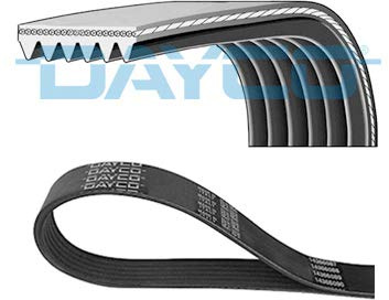 Dayco 6PK1035S Keilrippenriemen | Kompatibel mit: ALFA ROMEO MITO, FIAT 500L, BRAVO II, BRAVO Van, IDEA