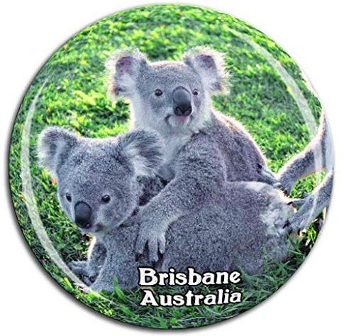Lone Pine Koala Sanctuary Brisbane Australia Fridge Magnet 3D Crystal Glass Tourist City Travel Souvenir Collection Gift Strong Refrigerator Sticker