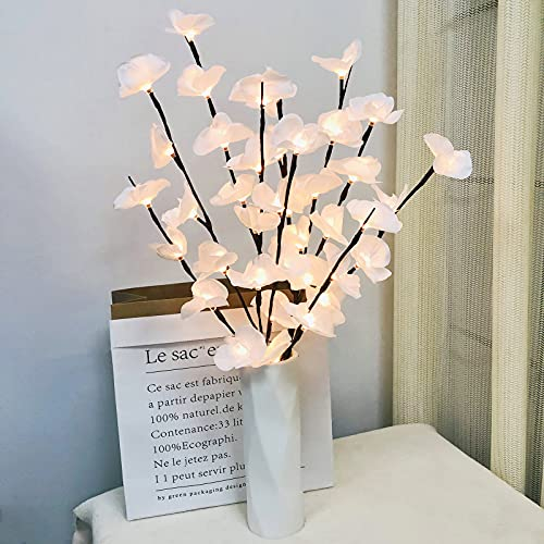 Butterfly Orchid Branch Light