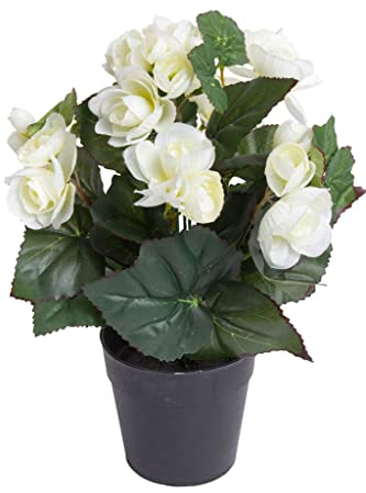 künstliche Begonie (Begonienbusch) mit 7 Stielen im schwarzen Kunststofftopf (Creme-weiß)