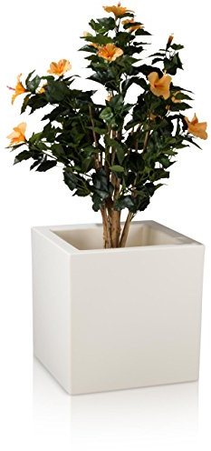 Pflanzkübel DECORAS Kunststoff Pflanztröge – versch. Größen – weiß matt – frostsicher & UV-beständig (8 Jahre Garantie) – TÜV-geprüfte Qualität – Premium Blumenkübel