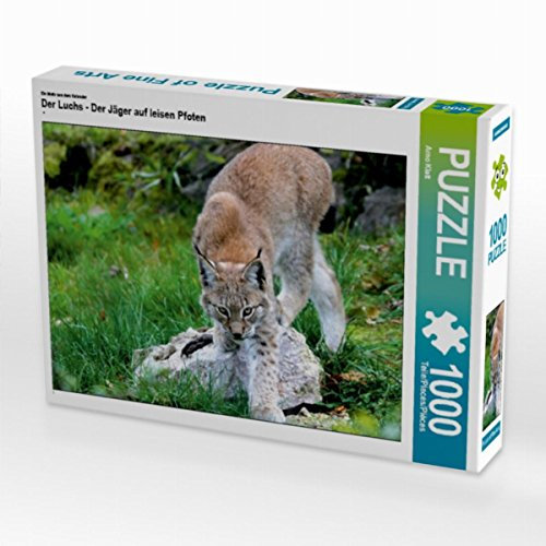 CALVENDO Puzzle EIN Motiv aus dem Kalender Der Luchs - Der Jäger auf leisen Pfoten 1000 Teile Puzzle quer | 1000 Teile Lege-Größe 64 x 48 cm Foto-Puzzle für glückliche Stunden