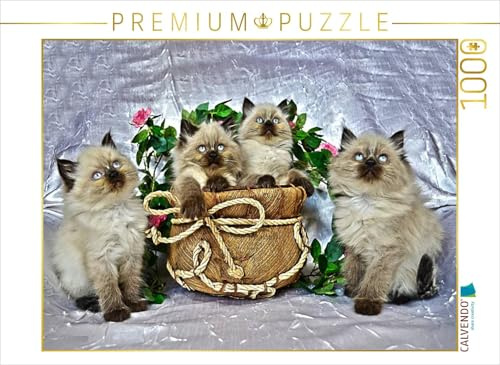 CALVENDO Puzzle EIN Motiv aus dem Kalender Cats IN HDR | 1000 Teile Lege-Größe 64 x 48 cm Foto-Puzzle für glückliche Stunden