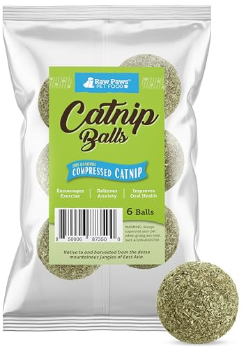 Raw Paws Catnip Balls for Cats, (6-Count) - Interactive Cat Toy for Indoor Cats - Cat Nip Licking Balls