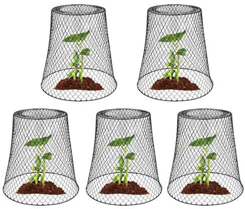 5Stück Pflanzhüte Gartenglocken Für Pflanzen 23 X 23 X 15 cm Pflanzglocke Aus Metall Pflanzenabdeckungen Von Tieren Pflanzenschutz Vor Tieren Hühnerdraht Cloche Pflanzenschutz Pflanzenkäfige