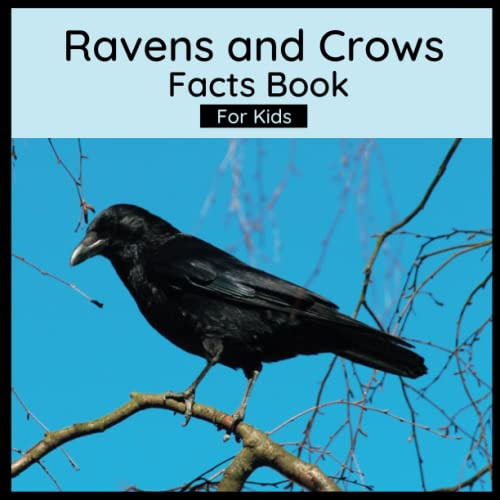 Ravens And Crows Facts Book For Kids: Book About Crows And Ravens