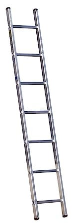 2.0m Trade Master Single Section Ladder