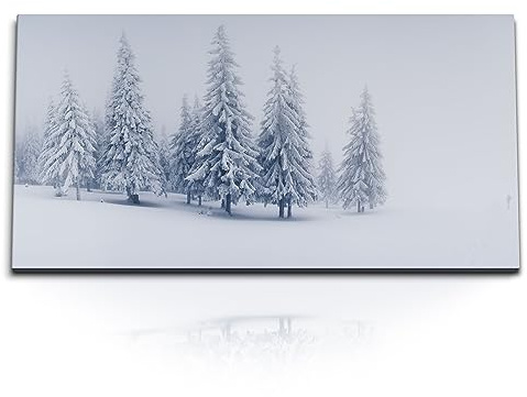 Paul Sinus Kunstdruck Bilder 120x60cm Winter Schnee Tannenbäume Tannenwald Weiß
