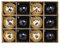 YUANGANG Spiegelkugel, bunte Discokugel, Weihnachtskugel, Glitzer, Weihnachtskugeln, Plüsch, bruchsicher, Kunststoffkugel, Weihnachten, reflektierend, Party-Dekorationen (Schwarz / Gold)