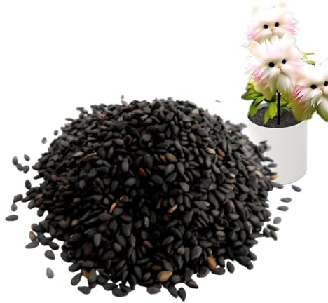 Semi di orchidea per gatto, 100 titoli di gattos fio-re di gatto, grazi-osi semi di fiori di orchidea, ve-ra piantina di fioris, pianta di fioris decorativi, design della fioritura, crescita naturale
