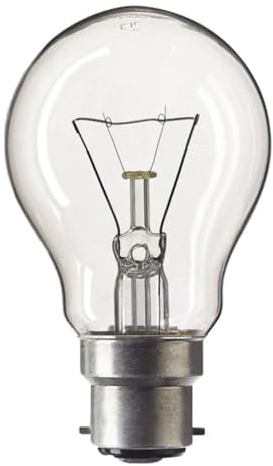 GLS 60W Oven Bulb 300° BC / B22-240v