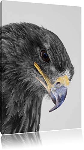 Pixxprint wunderschöner Adler im Portrait B&W, Größe: 100x70cm, Leinwandbild, fertig gespannt, Wandbild, Dekoration, Kunstdruck, kein Poster