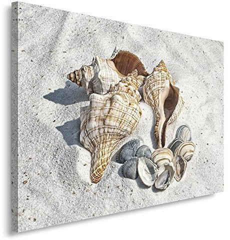 Feeby. Wandbild - 1 Teilig - 40x50 cm, Leinwand Bild Leinwandbilder Bilder Wandbilder Kunstdruck, MUSCHELN, STRAND, GRAU, BRAUN