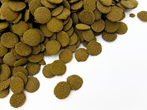 HERONS - Spirulina Algae Wafers - 15 mm Sinking Wafer - For all Bottom-Feeding Fish and Crustaceans - Rich in Fiber - Immune Support - Enhance Colour and Improves Digestion - 100 Grams