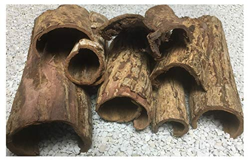 Höhlen Set 500gr - Seemandelbaum Rinde zum Sonderpreis (500 gr ca. 10 Teile) Versteck und Wasseraufbereitung zugleich
