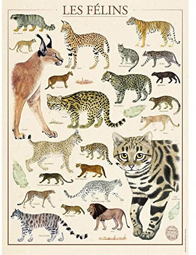 Nathan 87292 Puzzle 500 Teile - Die Katzen/Nationalmuseuum Naturgeschichte - Erwachsene und Kinder ab 12 Jahren - Hochwertiges Puzzle - Nostalgie Collection