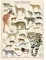 Nathan 87292 Puzzle 500 Teile - Die Katzen/Nationalmuseuum Naturgeschichte - Erwachsene und Kinder ab 12 Jahren - Hochwertiges Puzzle - Nostalgie Collection