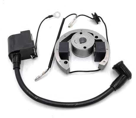 WYNAnGAI Accensione Elettronica for Moto Adatta for Kit volano statore rotore Interno Bobina di accensione 50cc (Pezzi di Ricambio)