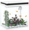 PawHut Petit Aquarium Complet 14L, Aquarium en Verre, avec système de Filtration, éclairage LED, Pompe à Eau, Couvercle, pour Poissons tropicaux, Rouges, Blanc