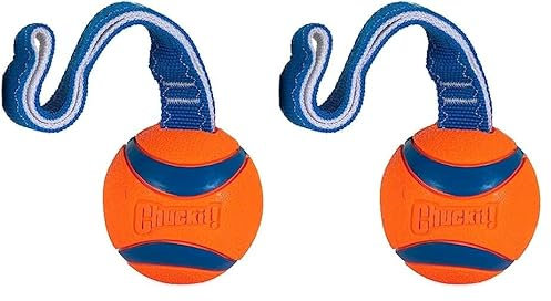 Chuckit! CH231301 Ultra Tug Large (Packung mit 2)