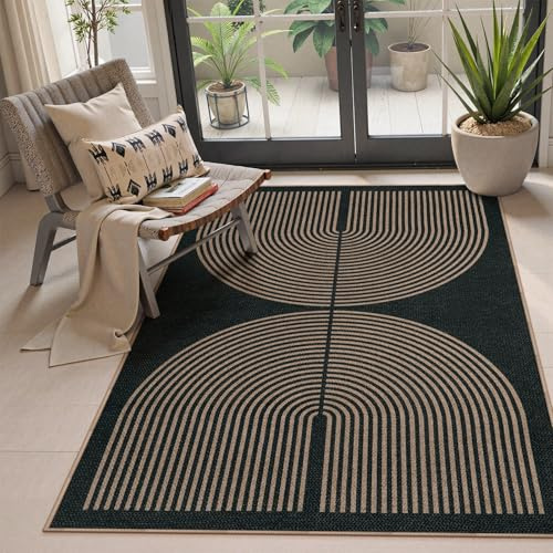 Lahome Modern Rainbow Easy Jute 4x6 Rug, Outdoor Patio Rug for Living Room Washable Black Carpet for Bedroom, Contemporary Non Slip Non Shedding Floor Carpet for Office Backyard