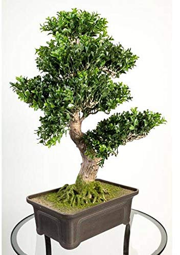 artplants.de Artificial Boxwood Bonsai in planter, 550 leaves, 26/65cm - Silk Bonsai/Bonsai Replica