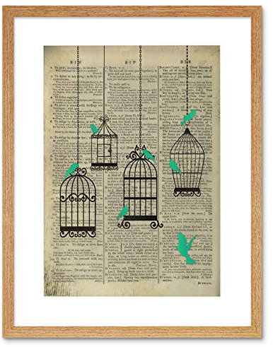 Wee Blue Coo UPCYCLE DICTIONARY BIRDCAGE BIRDS FRAMED ART PRINT POSTER F12X10551