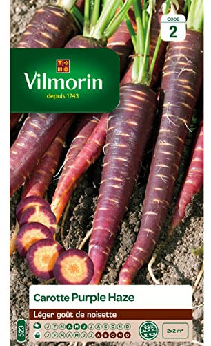 Vilmorin - Sachet graines Carotte Violette Purple Haze