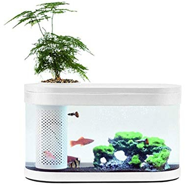 Geometrie-Fisch-Behälter Aquaponics Ökosystem Kleiner Wasser-Garten ökologisches Aquarium Aquarium Transparent Aquarium