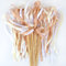 50 Stück Wedding Wands Stäbe mit Hochzeitsbändern Seidenfeenstab,Wedding Twirling Streamers für Hochzeit Geburtstag Party (Champagner)
