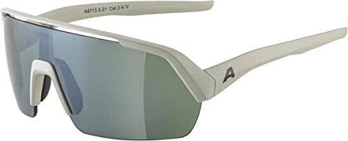 ALPINA Unisex - Erwachsene, TURBO HR Q-LITE Sportbrille, cool-grey matt/silver, One Size