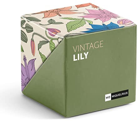 Miquelrius Klebezettel-Würfel, quadratischer farbiger und rechteckiger Notizblock, enthält selbstklebende Indexe und einen Mini-Würfel zum Organisieren Ihres Schreibtischs zur Schule