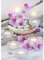 QENSPE Diamond Painting Blumen Diamant Painting Bilder Kerzen 5D Diamond Painting Erwachsene Blumen Full Diamant Bilder Malerei Stickerei Set Kreuzstich Bilder Home Wand Dekor 30x40cm
