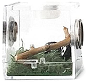 Breeding Box, Clear Acrylic Reptile Breeding Box, Portable Feeding Fence with Moss Mat, Rhododendron Root, Tweezers, Drip Tube, Bac