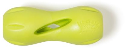 WEST PAW Zogoflex Qwizl Dog Puzzle Treat Toy – Interactive Chew Toy for Dogs – Brightly-Coloured Dog Enrichment Toy for Aggressive Chewers, Fetch, Catch, (green, Small)