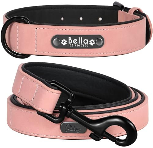 Didog Soft PU Leather Padded Custom Dog Collar with Personalized Nameplate and D Ring, Engraved Dog Collars for Small Medium Large Dogs (S: width 1.7cm,neck 25-31cm, Pink Set)