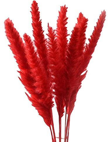 MagiDeal 15 pièces séchées pampa roseau fleurs pour Vase bouquet fleur Arrangement pour Boho décoration, ROUGE