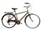 Versiliana Vintage-Fahrräder – Citybike – widerstandsfähig – praktisch – komfortabel – perfekt für die Fortbewegung in der Stadt (Men 28, Tabacco/Black)